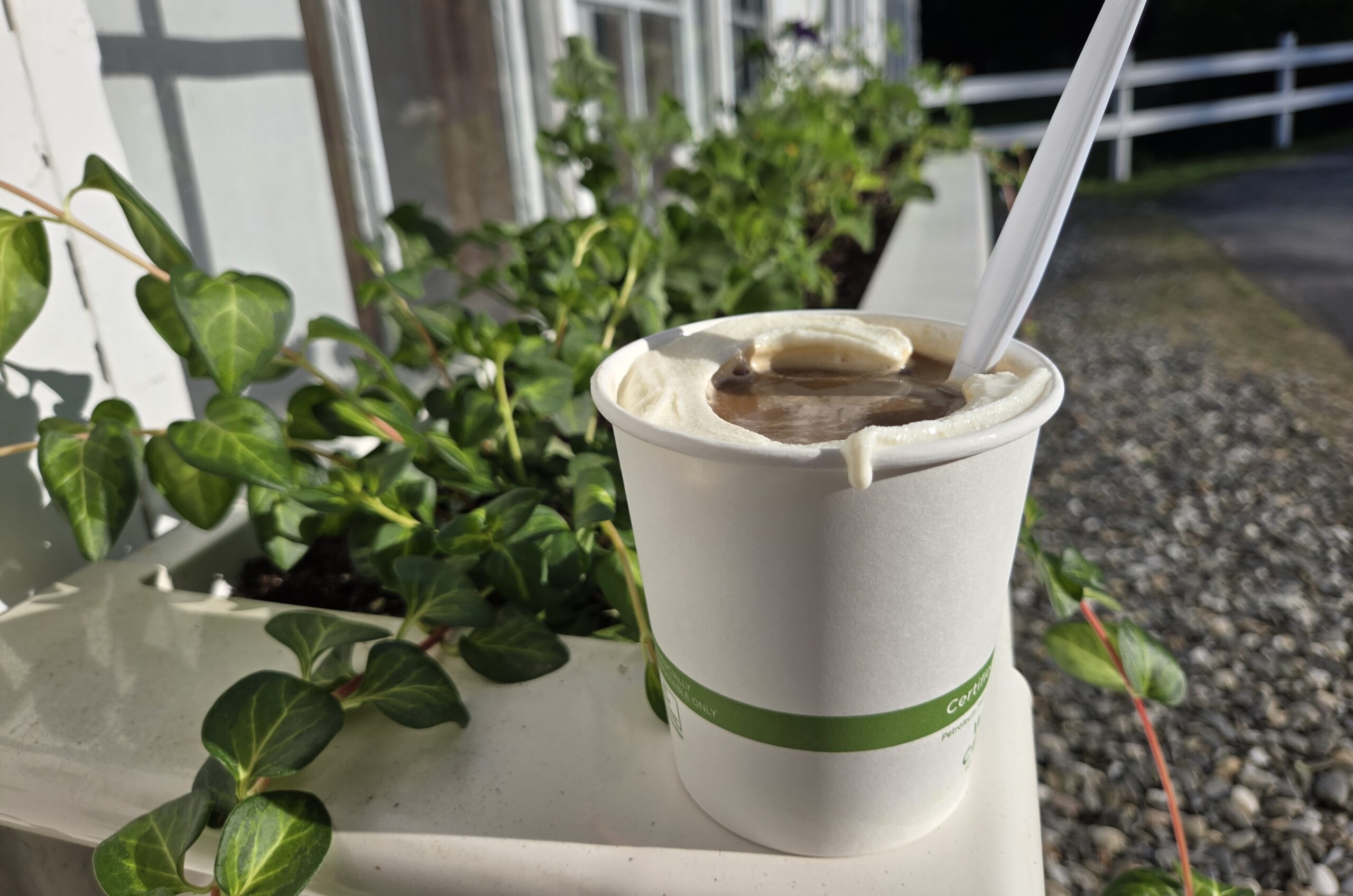 Affogato Sweet Treat